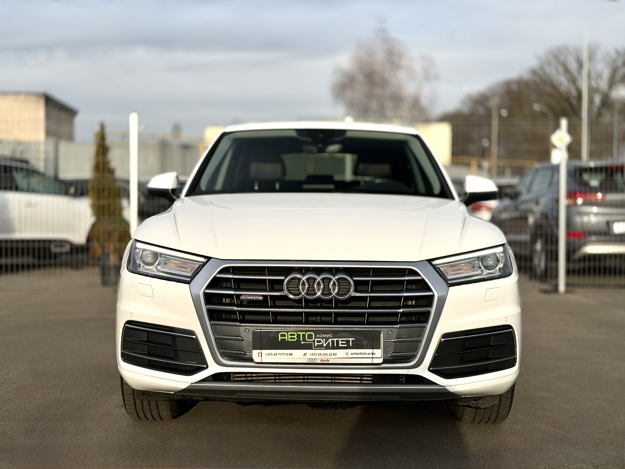 Audi Q5 2019 Бензин